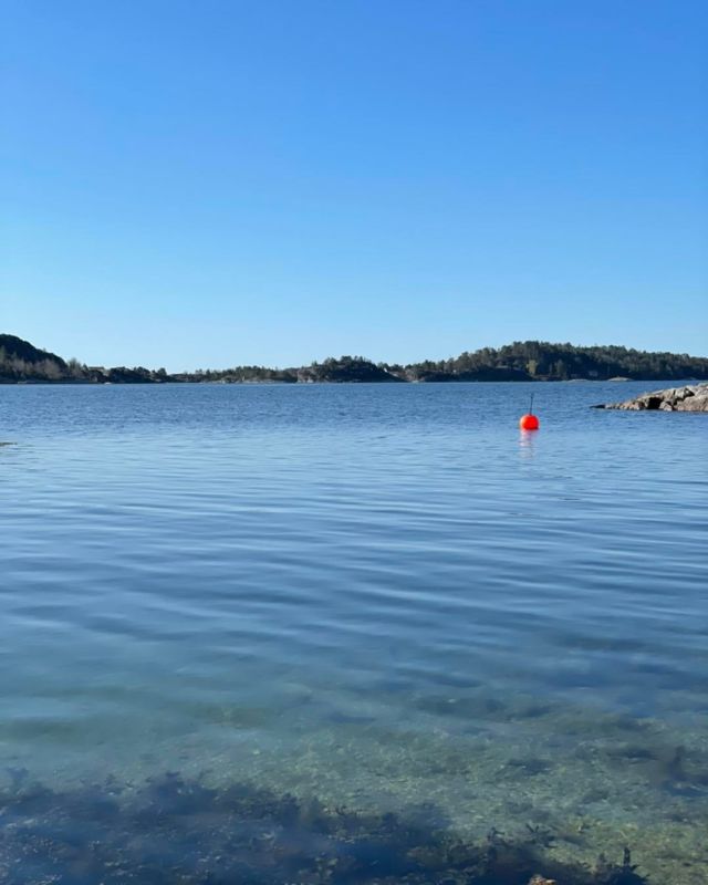 Trenger du noe til båten idag? 🚤⛵️ Vi er klare for å utlevere varer i hele dag 😀 Ring oss på 40856206 https://baatdeler.no/pa-salg/?orderby=price